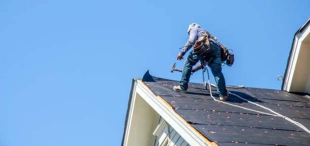 Best Flat Roof Repair Services  in Williamsport, IN
